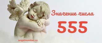 555 значение числа