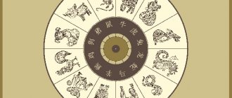 астрология китайский гороскоп