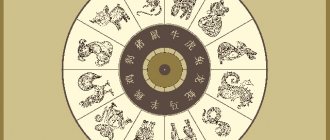 astrology chinese horoscope