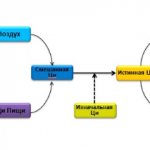 What is Qi energy - photo 2