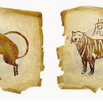 Compatibility of Rat and Tiger: and may the strongest win!